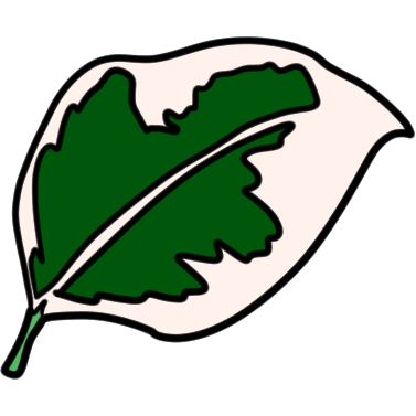 a dark green and white variegated leaf.